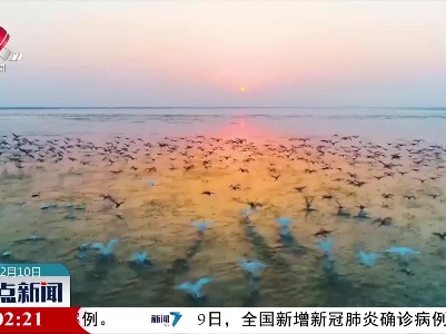 整点新闻20211210 14:00