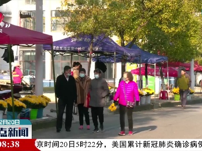 冬至将至：文明祭扫 深入人心