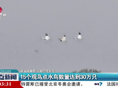 【第二届鄱阳湖国际观鸟周】15个观鸟点水鸟数量达到30万只