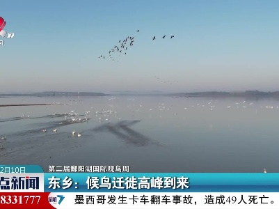 【第二届鄱阳湖国际观鸟周】东乡：候鸟迁徙高峰到来