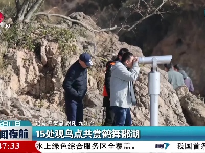 15处观鸟点共赏鹤舞鄱湖