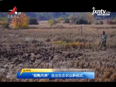 三农要闻20211205
