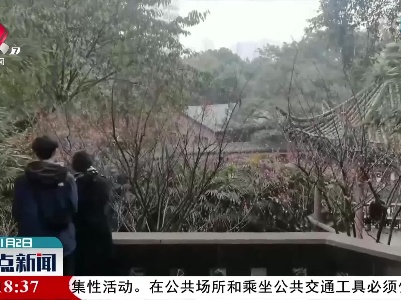 重庆：百年名园展新颜