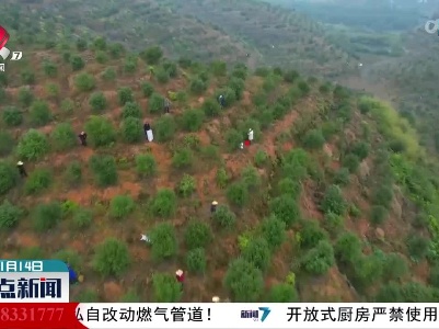 2021年江西两项林产品签单保险突破1.5亿元