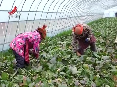三农要闻20220127
