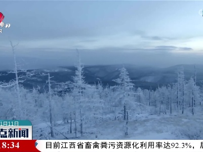 整点新闻20220111 16:00