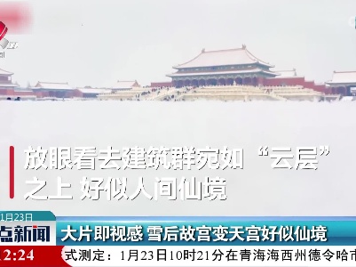 大片既视感 雪后故宫变天宫好似仙境