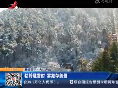 【赣闻天下】九江庐山：牯岭融雪时 雾淞存美景