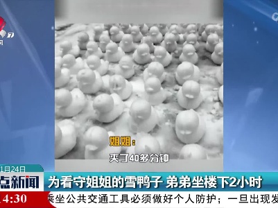 为看守姐姐的雪鸭子 弟弟坐楼下2小时
