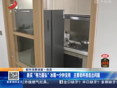 【都市消费调查】南昌：新买“格力晶弘”冰箱一分钟没用 主要部件接连出问题