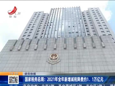 国家税务总局：2021年全年新增减税降费约1.1万亿元