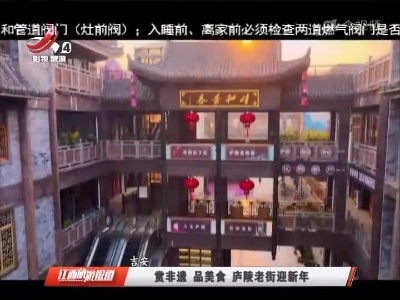 吉安：赏非遗 品美食 庐陵老街迎新年