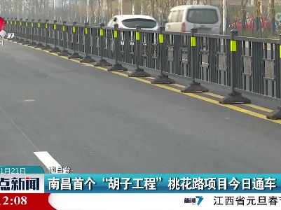 南昌首个“胡子工程”桃花路项目今日通车