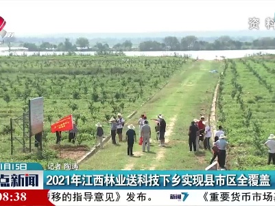 整点新闻20220115 12:00