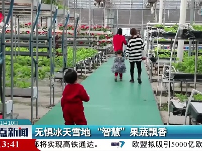 无惧冰天雪地“智慧”果蔬飘香