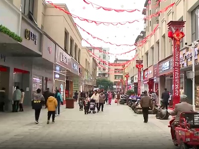 抚州市临川区开展迎春消费季活动