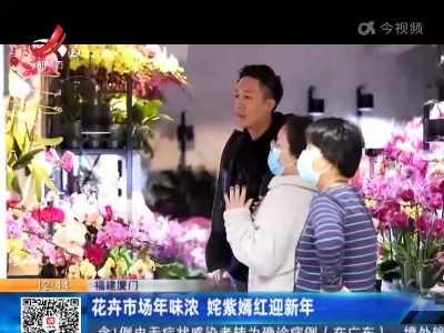 福建厦门：花卉市场年味浓 姹紫嫣红迎新年