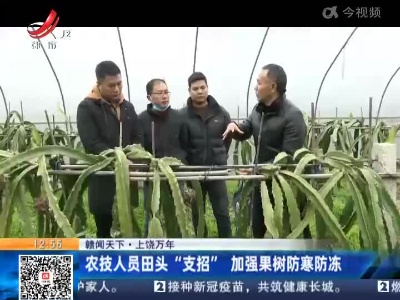 【赣闻天下】上饶万年：农技人员田头“支招”加强果树防寒防冻