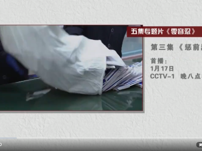 电视专题片《零容忍》第三集《惩前毖后》导视