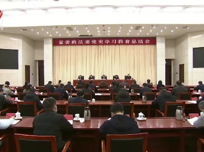 省委政法委召开委机关党史学习教育总结会议