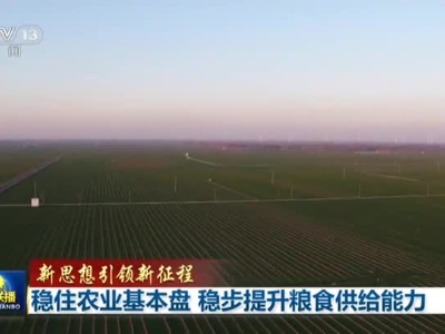 【新思想引领新征程】稳住农业基本盘 稳步提升粮食供给能力