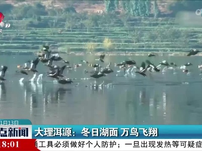 整点新闻20220113 10:00