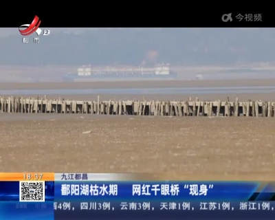 九江都昌：鄱阳湖枯水期 网红千眼桥“现身”