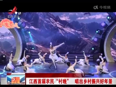 江西首届农民“村晚” 唱出乡村振兴好年景