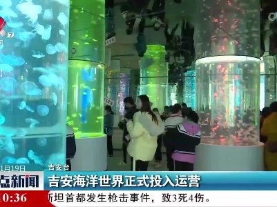 吉安海洋世界正式投入运营