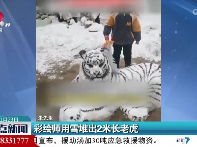 彩绘师用雪堆出2米长老虎