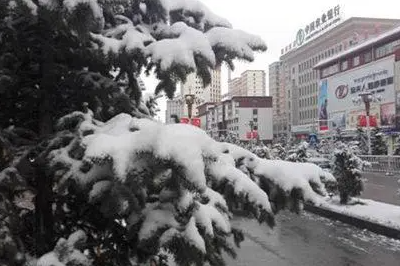 北京多地迎今年首场降雪 今明天降雪频繁全天冰冷