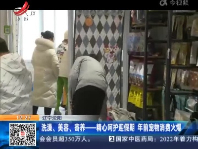 辽宁沈阳：洗澡、美容、寄养—精心呵护迎假期 年前宠物消费火爆