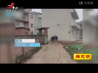 女子回家过年 侄子挥舞围裙迎接