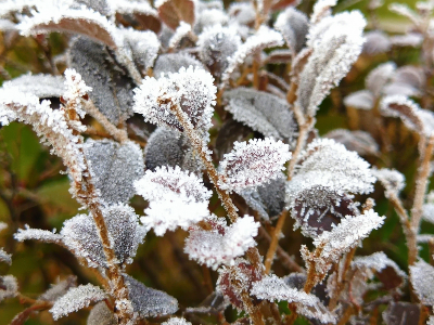 强降温！雨雪冰冻！春运期间，这5次冷空气将影响江西