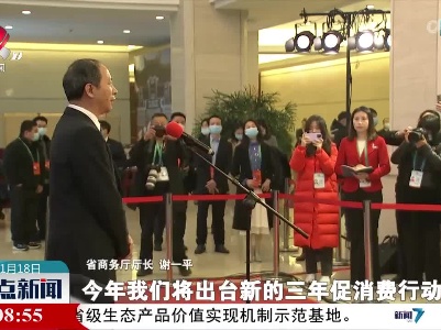 首场“代表通道”和“厅长通道”开启