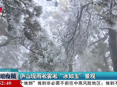 庐山现雨凇雾凇“冰如玉”景观