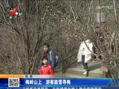 南昌：梅岭山上 游客踏雪寻梅