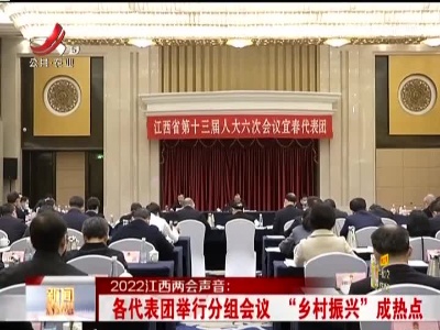 2022江西两会声音：各代表团举行分组会议 “乡村振兴”成热点