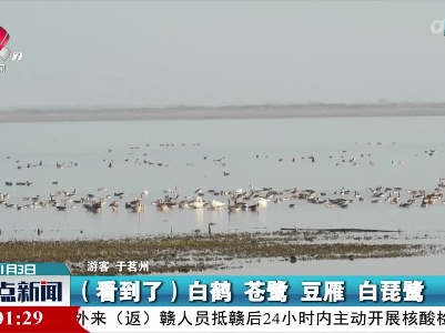 【2022的第一次旅行】永修吴城：观候鸟小精灵 赏鄱湖生态美