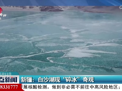 新疆：白沙湖现“碎冰”奇观