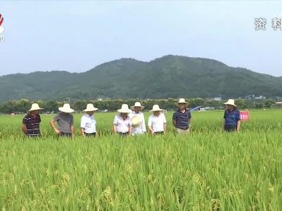 中国水稻研究所早稻研究中心在萍乡市湘东区成立