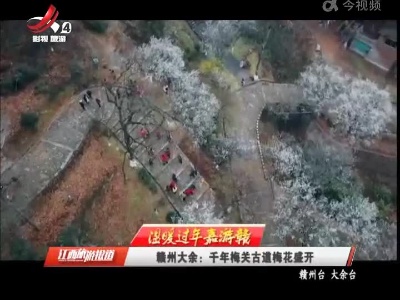 【温暖过年嘉游赣】赣州大余：千年梅关古道梅花盛开