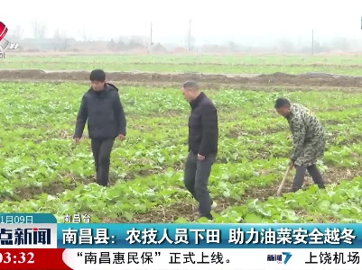 南昌县：农技人员下田 助力油菜安全越冬