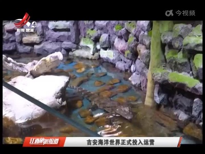 江西旅游报道20220120
