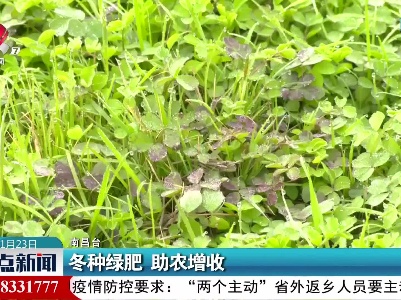 冬种绿肥 助农增收