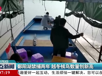 鄱阳湖禁捕两年 越冬候鸟数量创新高