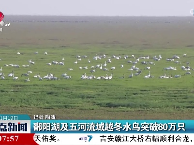 整点新闻20220119 16:00