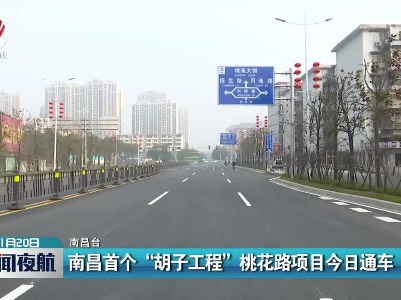 南昌首个“胡子工程”桃花路项目今日通车