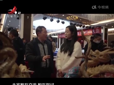抚州：新春来“寻宝” 民间工艺品“饱眼福”
