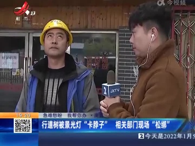 【急难愁盼 我帮你办】南昌：行道树被景光灯“卡脖子” 相关部门现场“松绑”